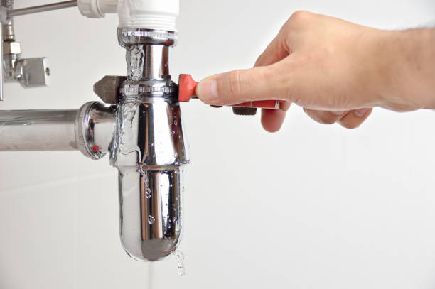 Best Residential Plumbing Services  in Rice, MN